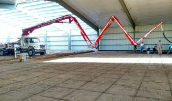 32M 5 SECTION ZZ By Alliance full