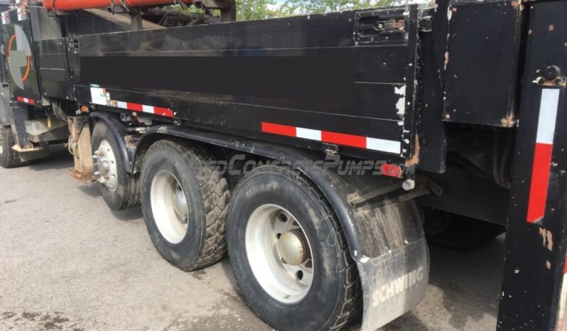 2008 39M SCHWING full